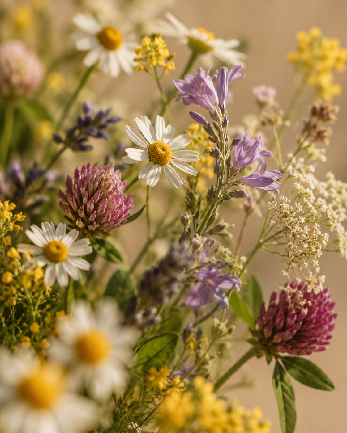Bloemen uit Moldavië, de herkomst van onze bloemenhoning
